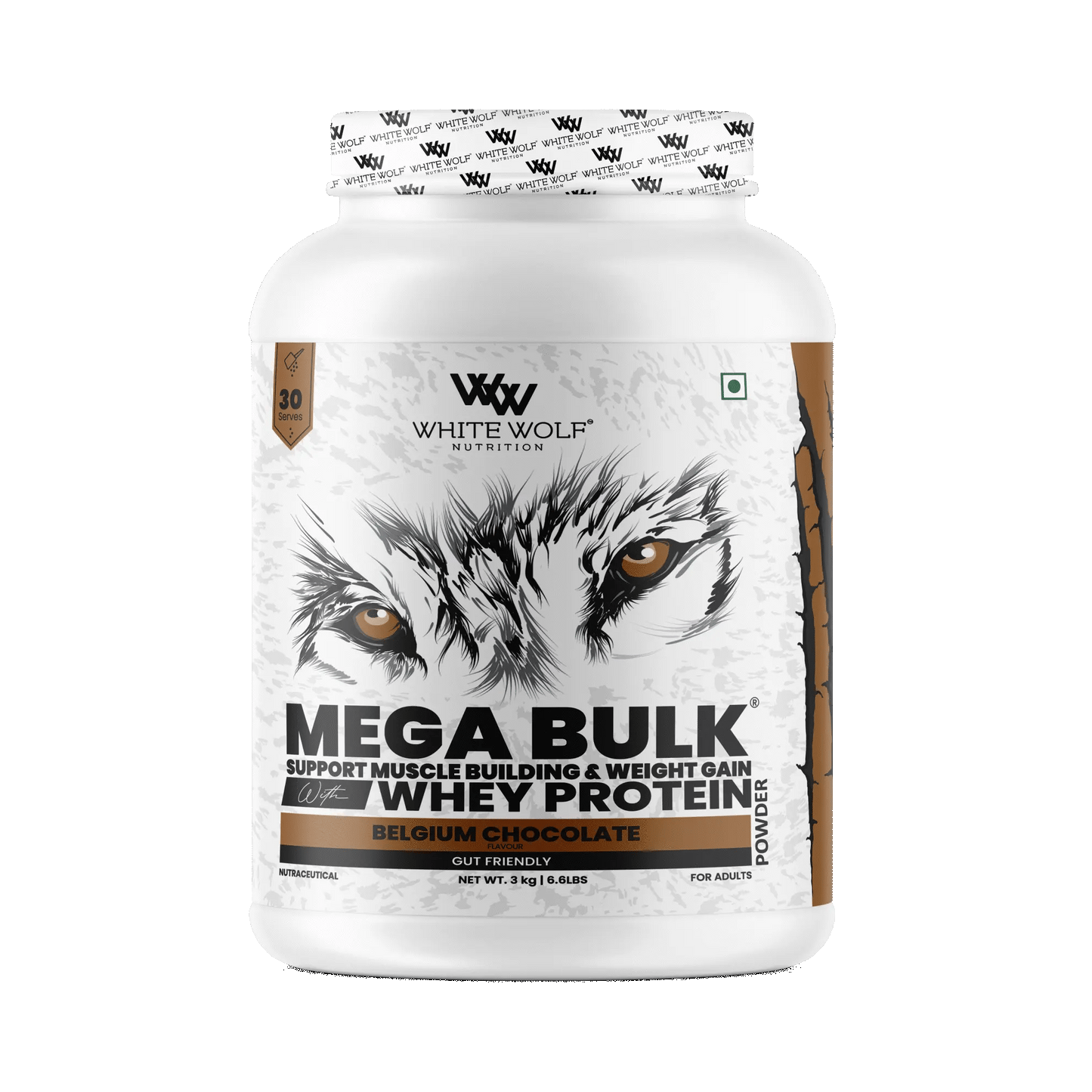Mega Bulk Mass Gainer With Whey Protein