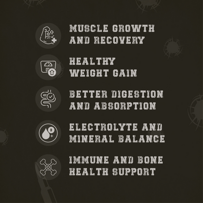Bazooka Mass Gainer