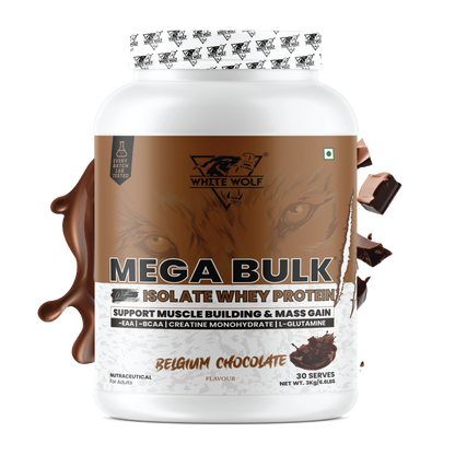 Mega Bulk Mass Gainer With  Whey Protein