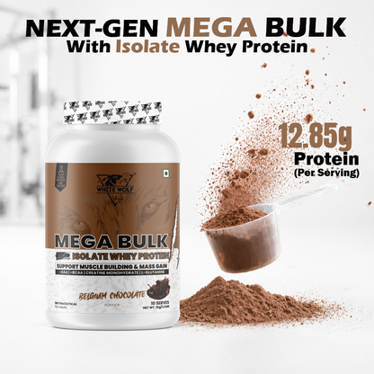 Mega Bulk Mass Gainer With  Whey Protein