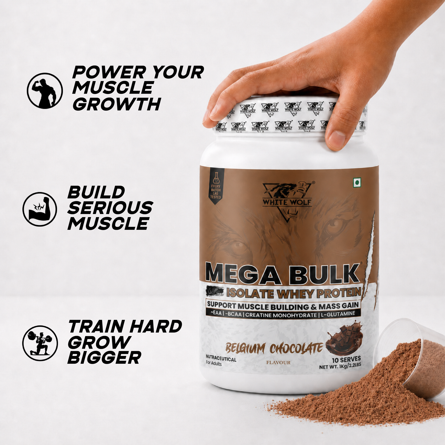 Mega Bulk Mass Gainer With  Whey Protein