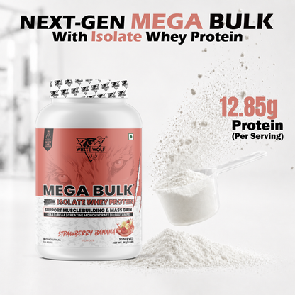 Mega Bulk Mass Gainer With  Whey Protein