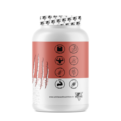 Mega Bulk Mass Gainer With  Whey Protein