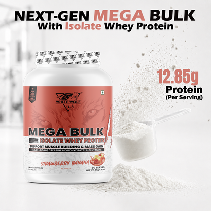 Mega Bulk Mass Gainer With  Whey Protein