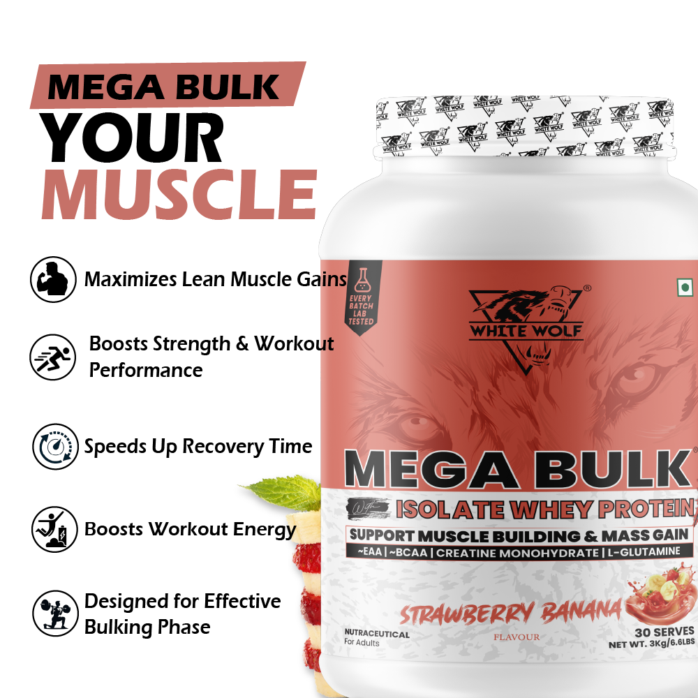 Mega Bulk Mass Gainer With  Whey Protein