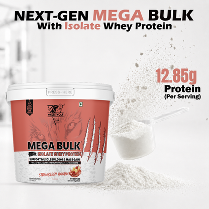 Mega Bulk Mass Gainer With  Whey Protein